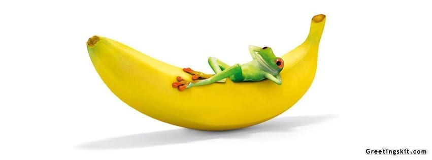 Banana with frog funny fb timeline cover