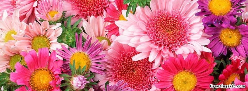 Beautiful Flowers FB Cover