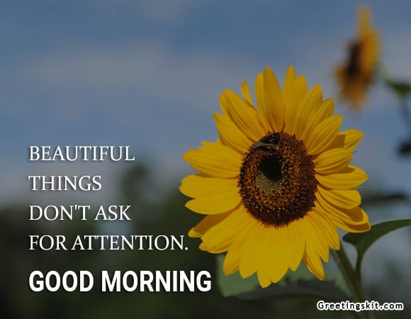 Good morning Quotes