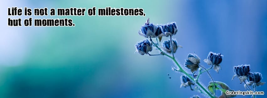 Life is Not a Matter of Milestones FB Cover