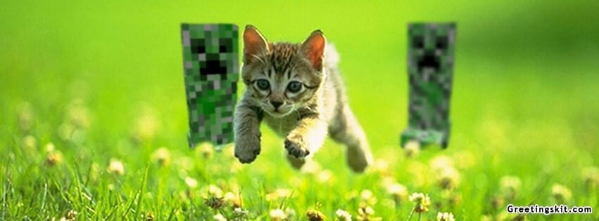 Running Cat FB Cover