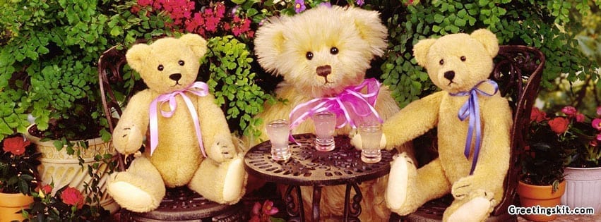 Teddy Bears Facebook Cover