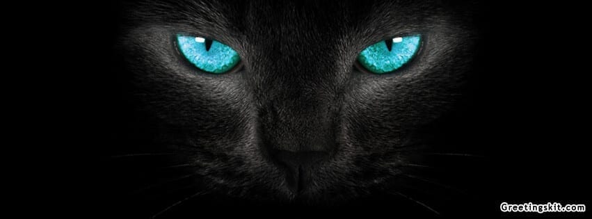 Cat Eyes Facebook Timeline Cover