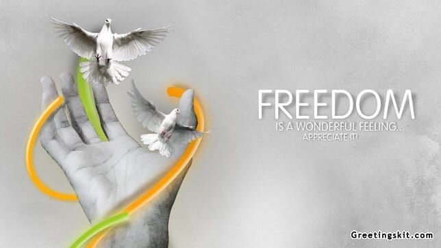 Independence Day – India – Freedom