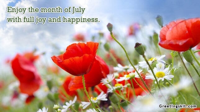 July Flowers