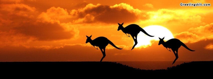 Kangaroo Silhouettes FB Timeline Cover