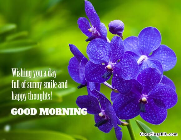 Good Morning – Picture Quotes