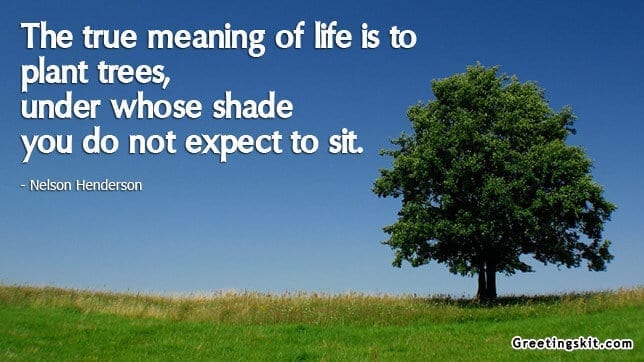 True Meaning of Life – Picture Quote