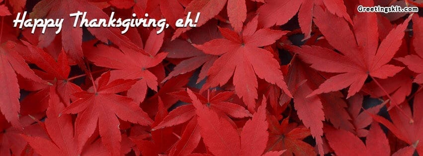Happy Thanksgiving, eh FB Cover