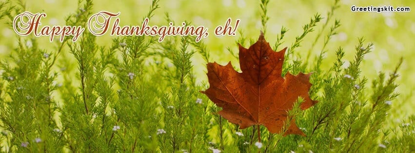 Canadian Thanksgiving FB Timeline Cover