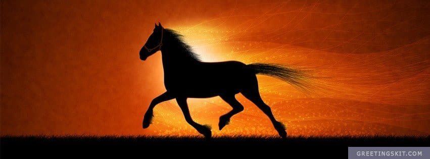 Running Horse Facebook Timeline Cover