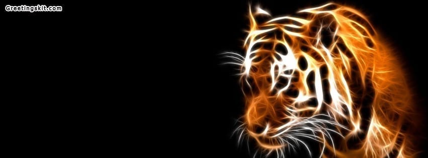 Tiger Abstract Facebook Timeline Cover