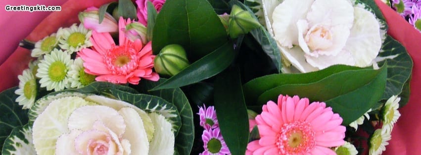 Beautiful Flowers Facebook Timeline Cover