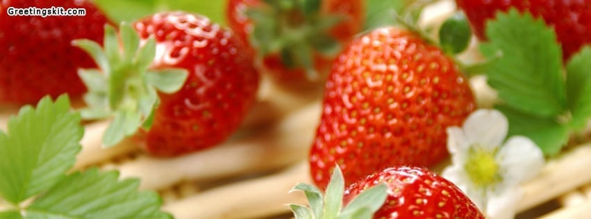 Fresh Strawberries Facebook Timeline Cover