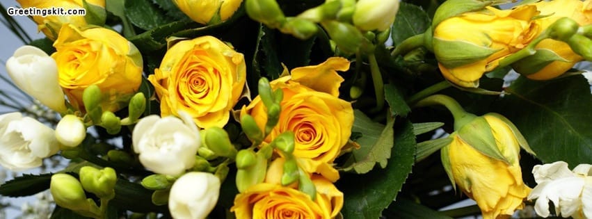 Yellow Roses Facebook Timeline Cover