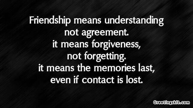 Friendship Means Understanding not Agreement – Picture Quote