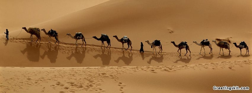 Desert Facebook Timeline Cover