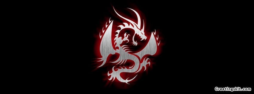 Dragon Facebook Timeline Cover
