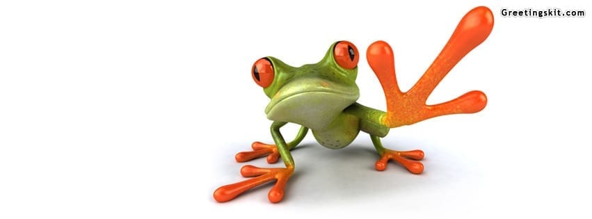 Hello Crazy Green Frog Facebook Timeline Cover