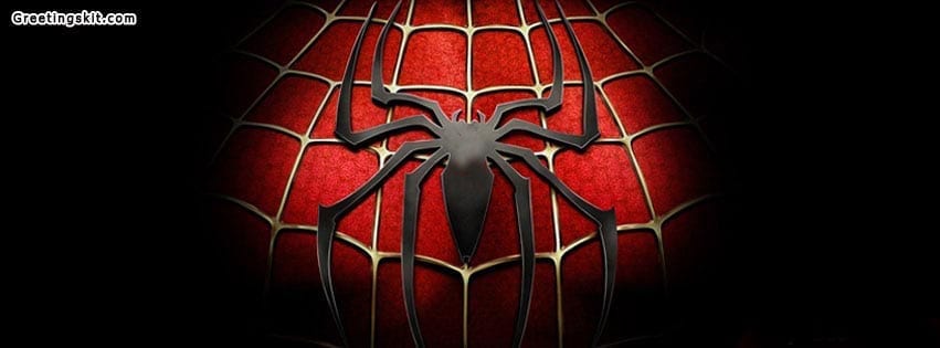 Spider Man Facebook Timeline Cover