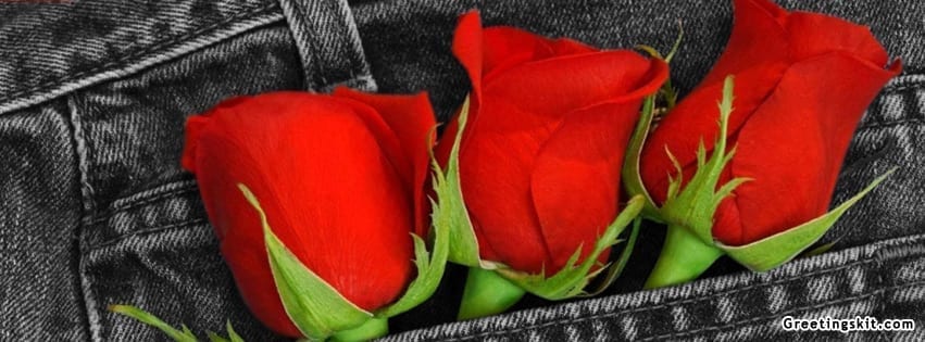 Red Rose Facebook Profile Timeline Cover Photo